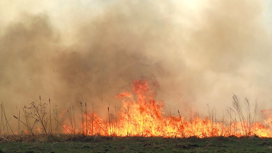 Пожар начался в лесу в Тюменской области<br />
